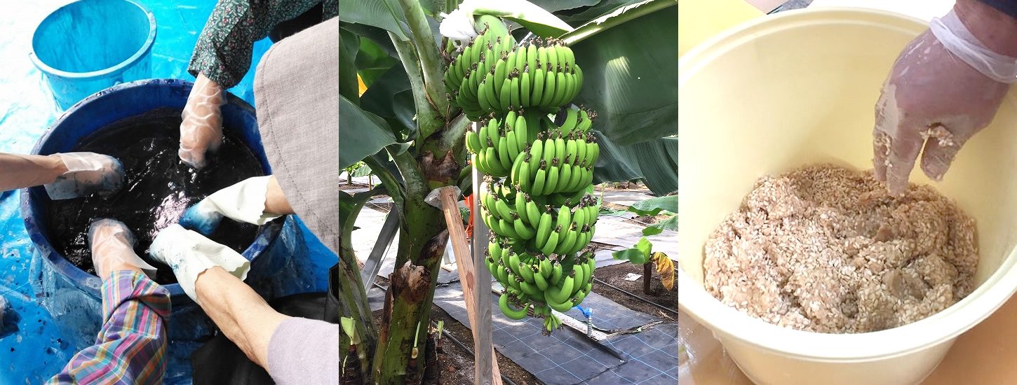 朝倉を、見る・知る・食べる 来ちゃらんね朝倉|朝倉の体験型・交流型魅力紹介サイト